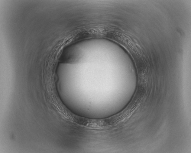 X0000116291201200911301412