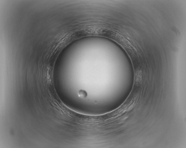 X0000116291202200911301412