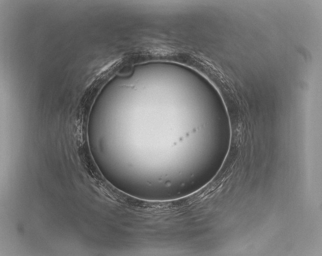 X0000116291205200911301412