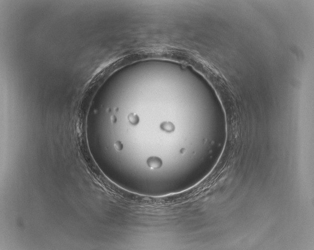 X0000116291206200911301412