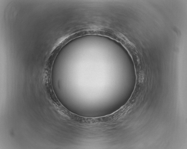 X0000116291208200911301412