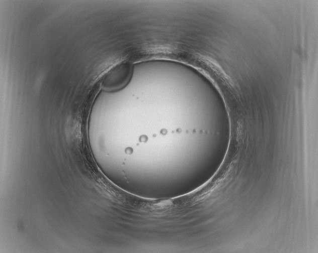 X0000116291209200911301412