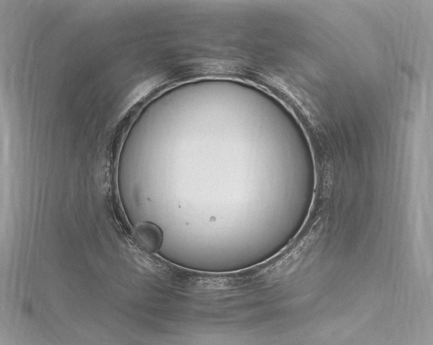 X0000116291211200911301412