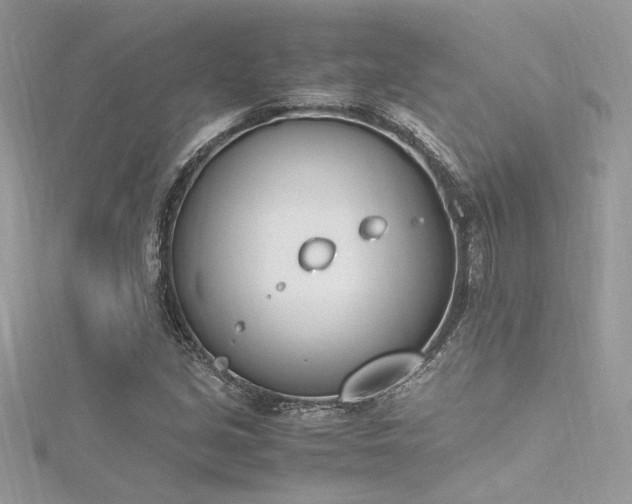 X0000116291213200911301412