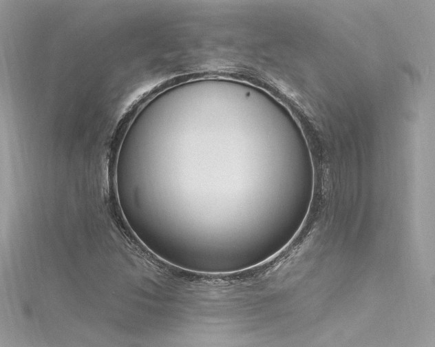 X0000116291214200911301412