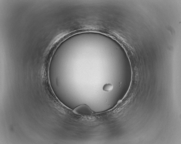 X0000116291215200911301412