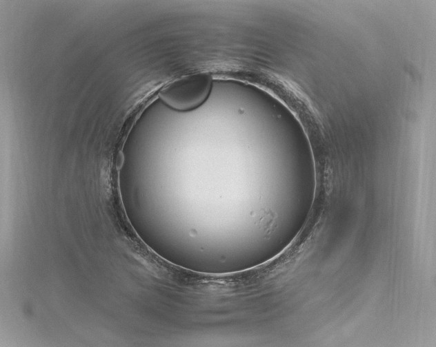 X0000116291217200911301412