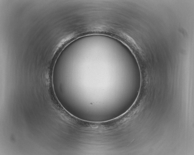 X0000116291218200911301412