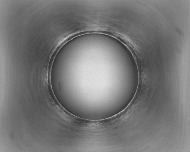 X0000116291220200911301412