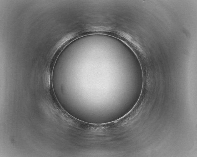 X0000116291221200911301412