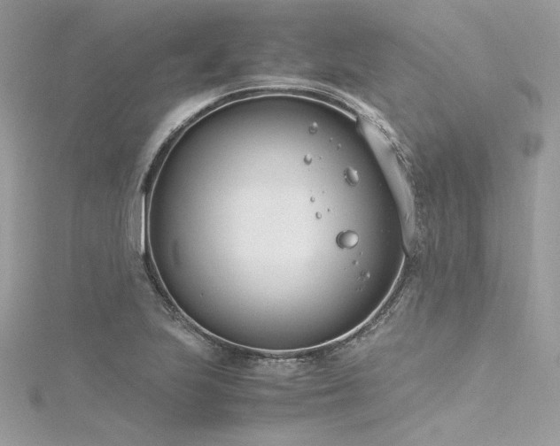 X0000116291223200911301412