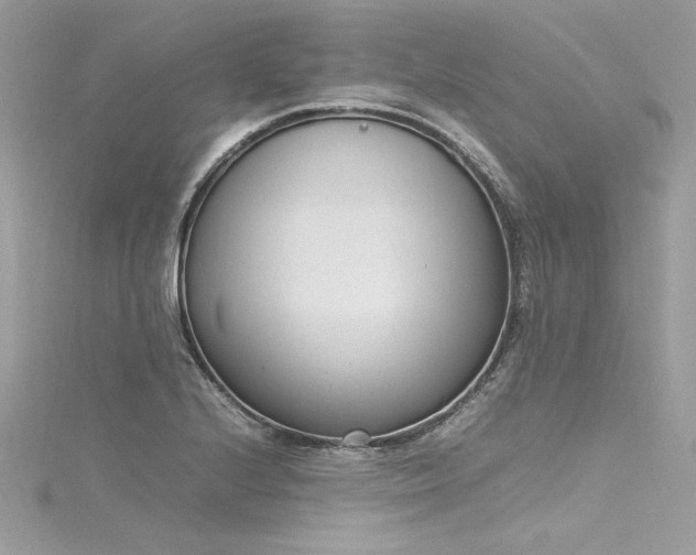 X0000116291224200911301412