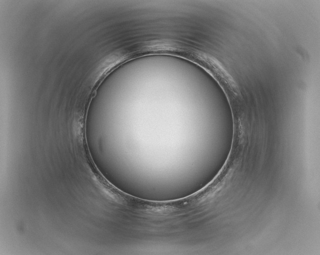 X0000116291225200911301412