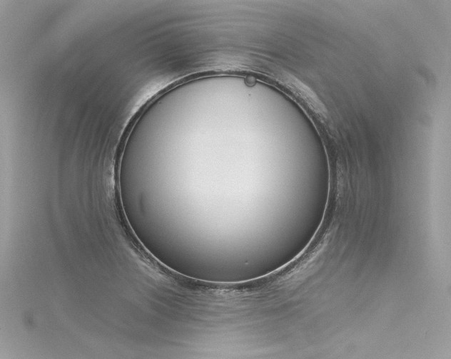 X0000116291226200911301412