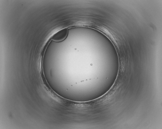 X0000116291227200911301412