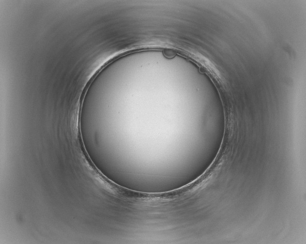 X0000116291228200911301412