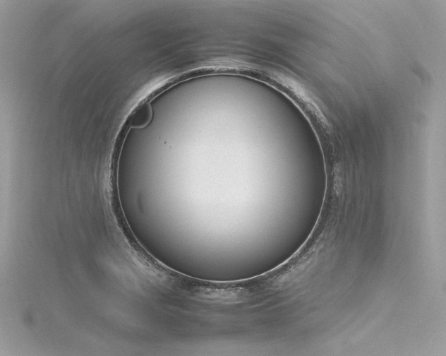 X0000116291229200911301412