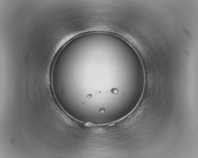 X0000116291230200911301412