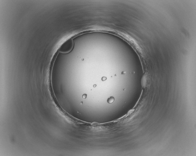 X0000116291231200911301412