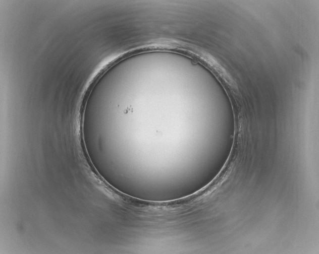 X0000116291232200911301412