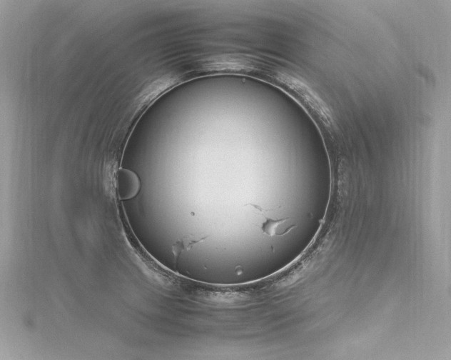 X0000116291233200911301412