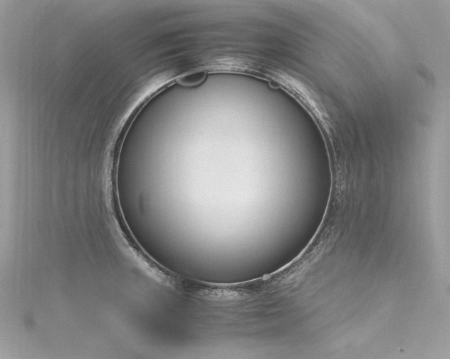 X0000116291235200911301412