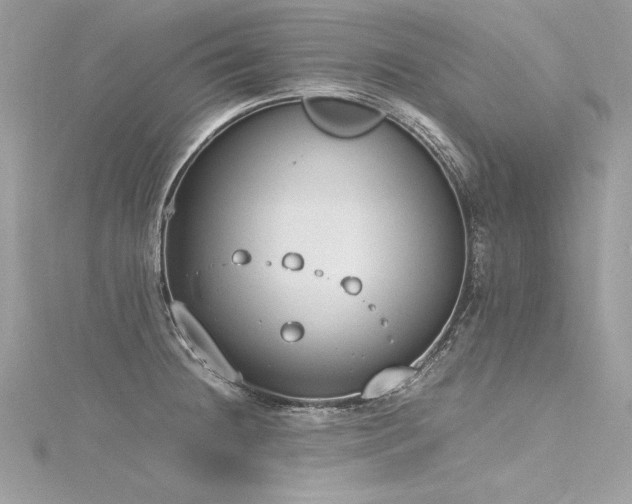 X0000116291236200911301412