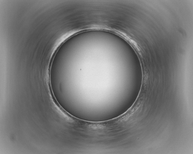 X0000116291239200911301412