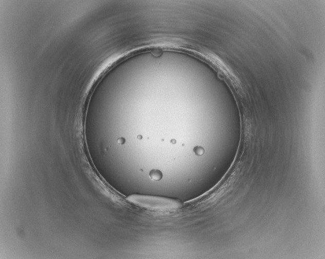 X0000116291240200911301412