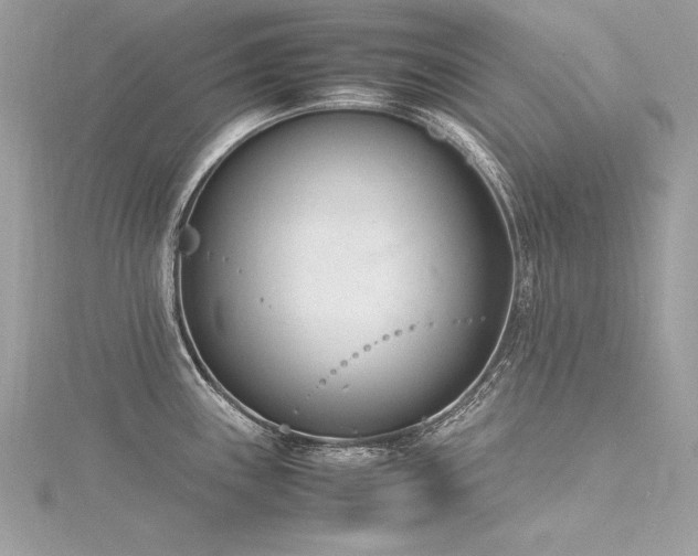 X0000116291243200911301412