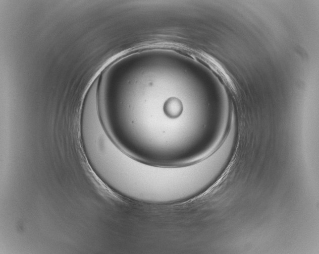 X0000116291244200911301412