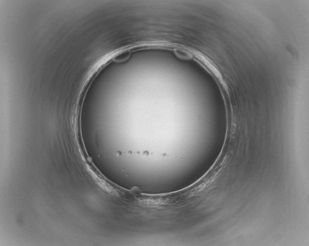 X0000116291245200911301412