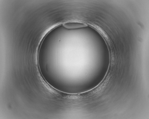 X0000116291246200911301412