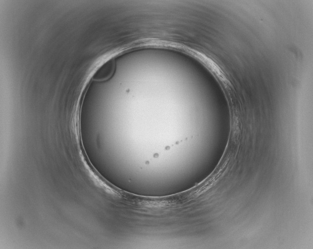 X0000116291247200911301412