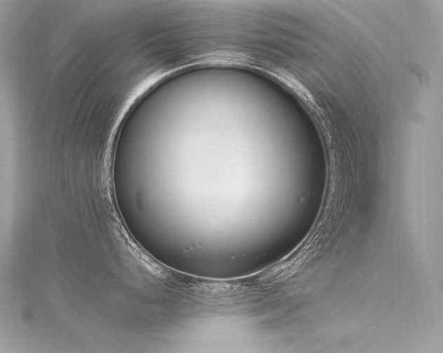 X0000116291248200911301412