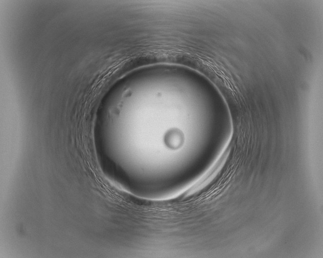 X0000116291249200911301412