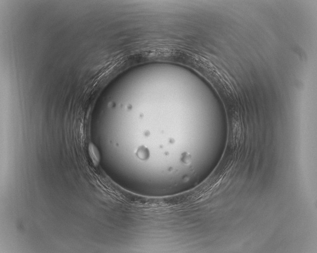 X0000116291250200911301412