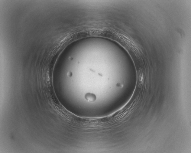 X0000116291252200911301412