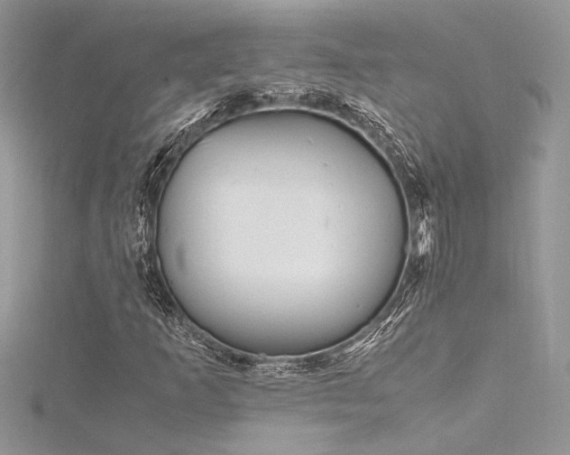 X0000116291253200911301412