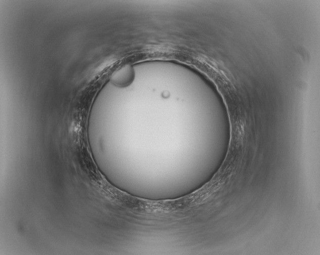 X0000116291254200911301412