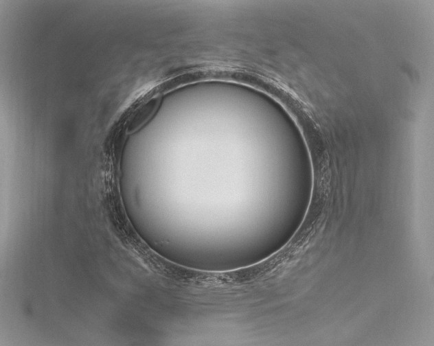 X0000116291255200911301412