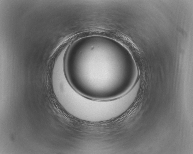 X0000116291256200911301412