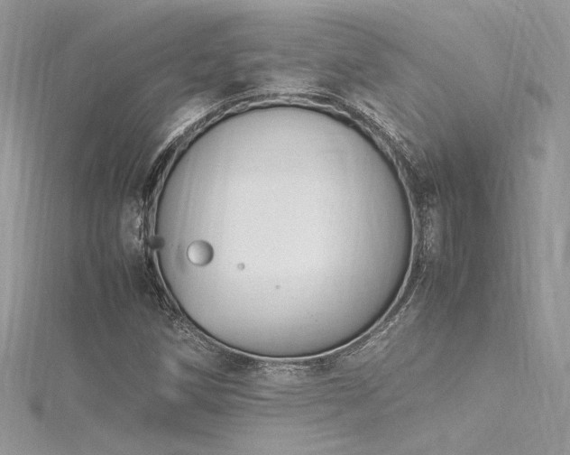 X0000116291258200911301411