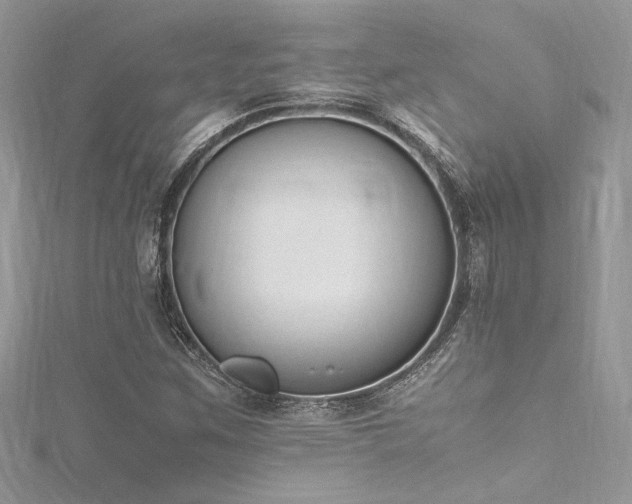 X0000116291259200911301411