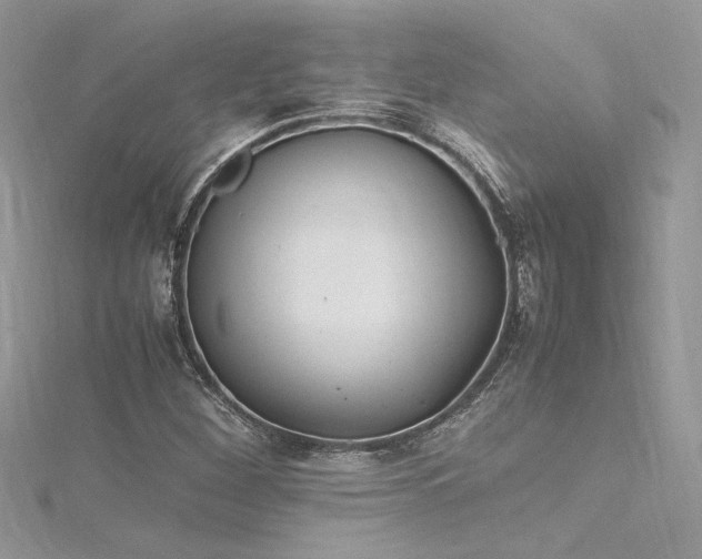 X0000116291260200911301411