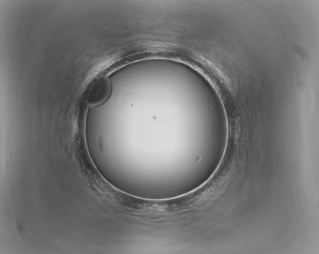 X0000116291261200911301411