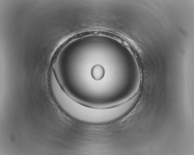 X0000116291264200911301411