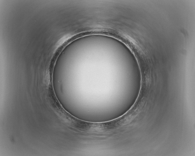 X0000116291267200911301411