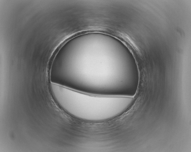 X0000116291268200911301411