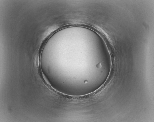 X0000116291269200911301411